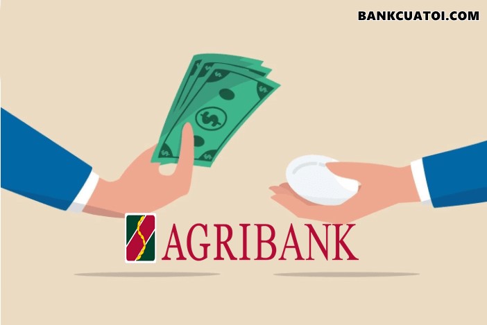  Vay-von-ngan-hang-Agribank