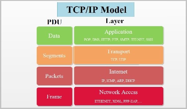 Mô hình TCPIP và mô hình 7 lớp OSI  Multicontents