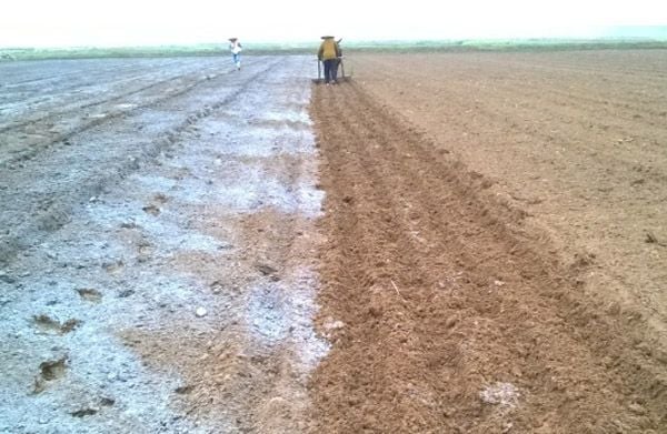 Vôi bột sát khuẩn nền đất