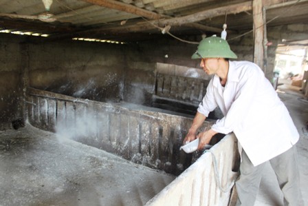 Vôi khử trùng chuồng trại hiệu quả
