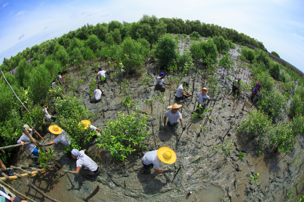 Bảo vệ hệ sinh thái