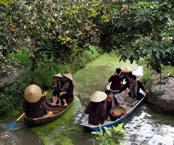 Du lịch miệt vườn miền Tây