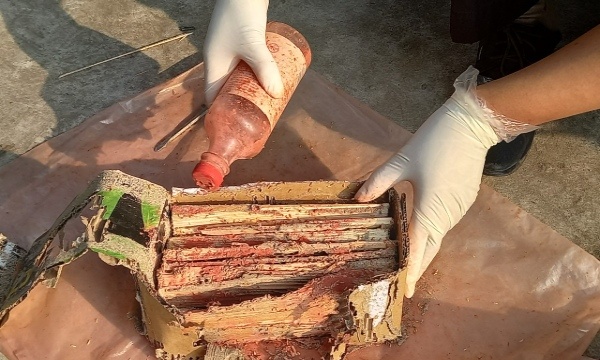 Mang đồ bảo hộ khi diệt mối