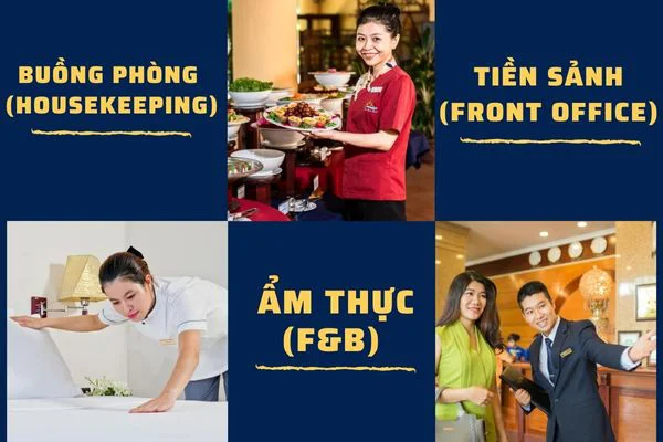 Cơ hội việc làm ngành