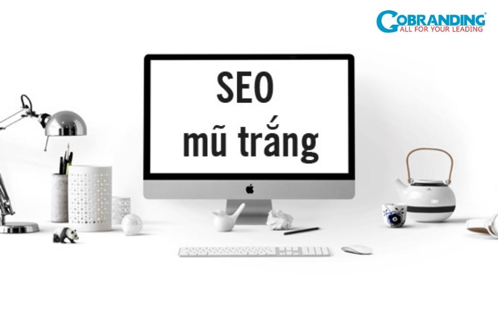 Dịch vụ SEO mũ trắng phát triển thứ hạng bền vững