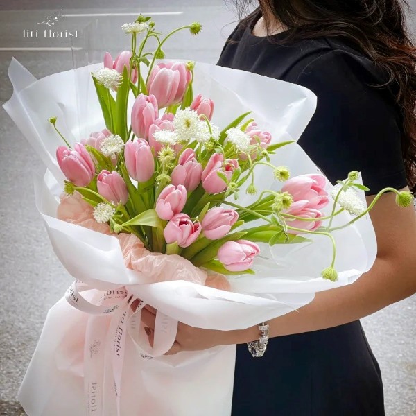 hoa-tulip-hong